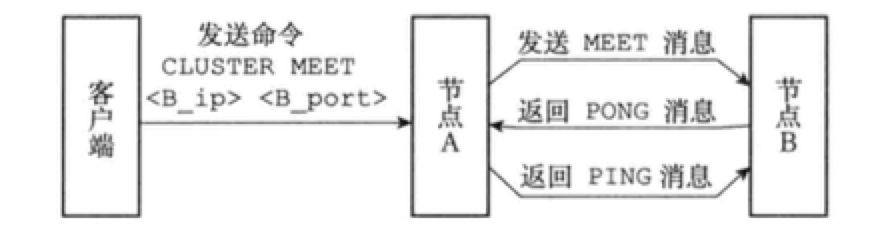 12 集群与分片